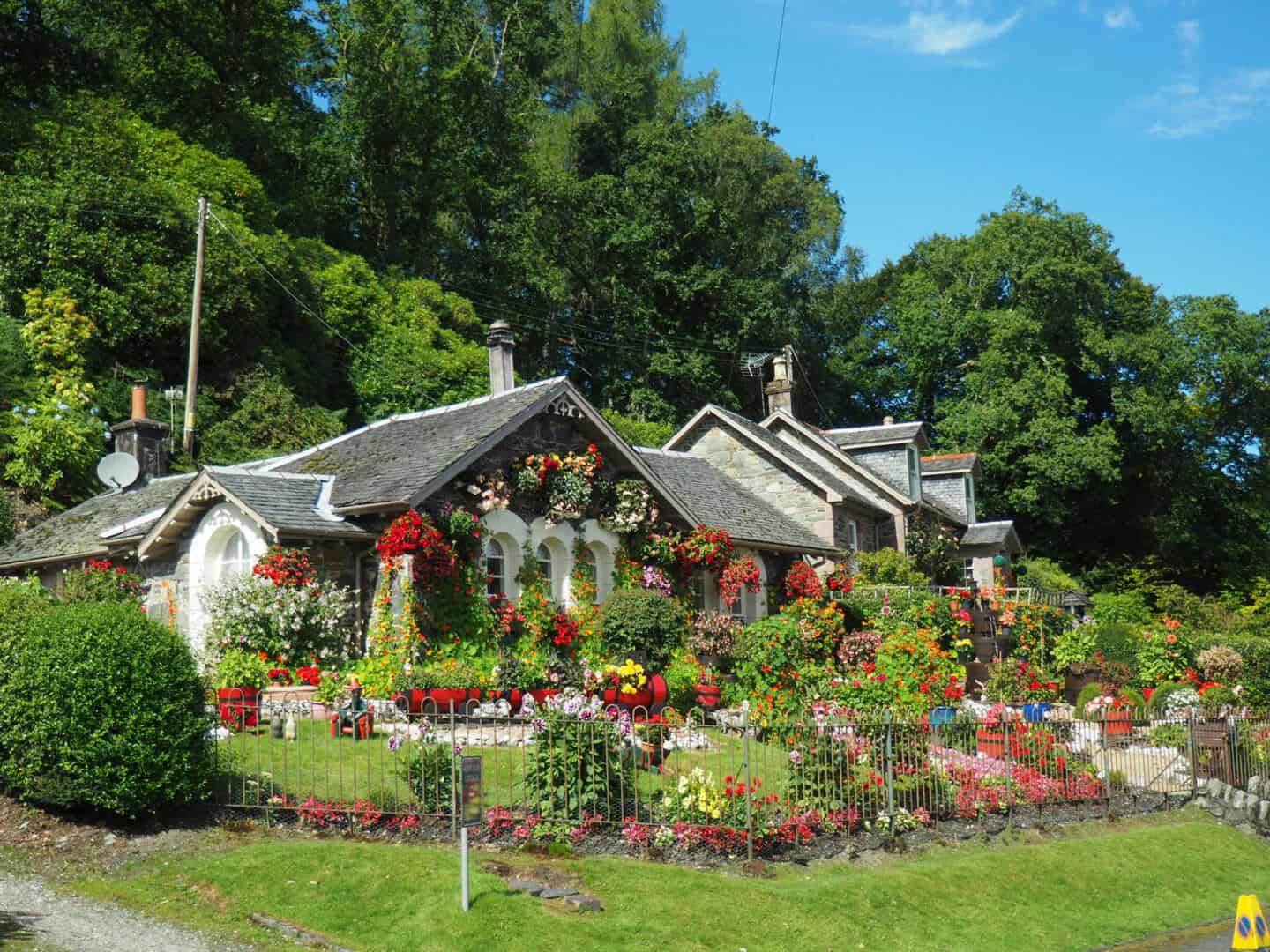 A home with a year-round garden in full bloom of colour