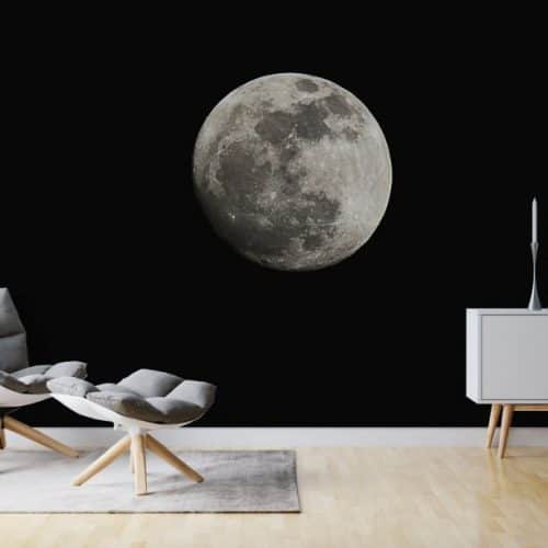 Wall Mural featuring the moon