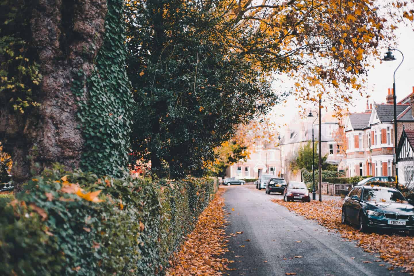 A street in England lined with cars and covered in fallen leaves