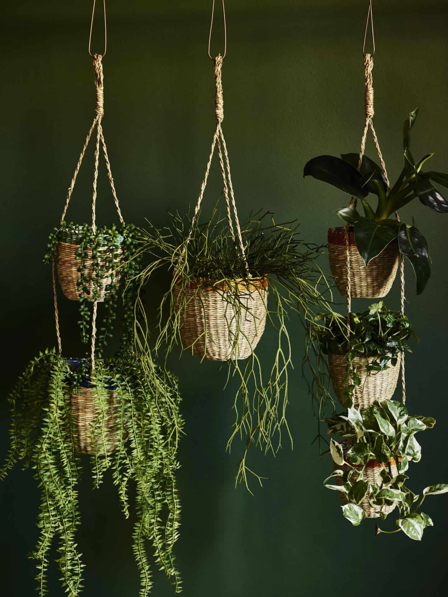 Plants are a great way to bring texture into the bathroom