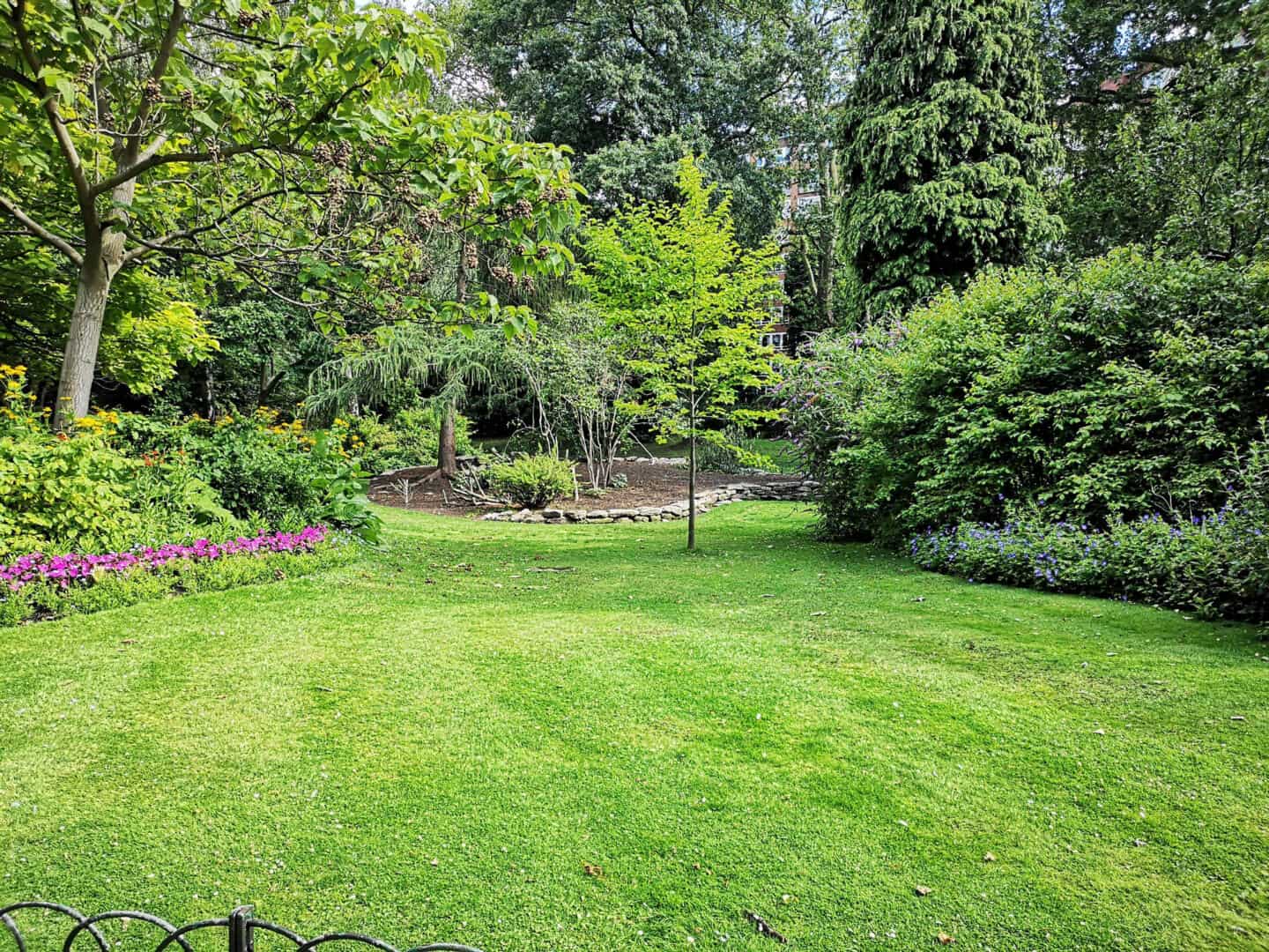 A beautiful year-round garden full of evergreen trees and plants