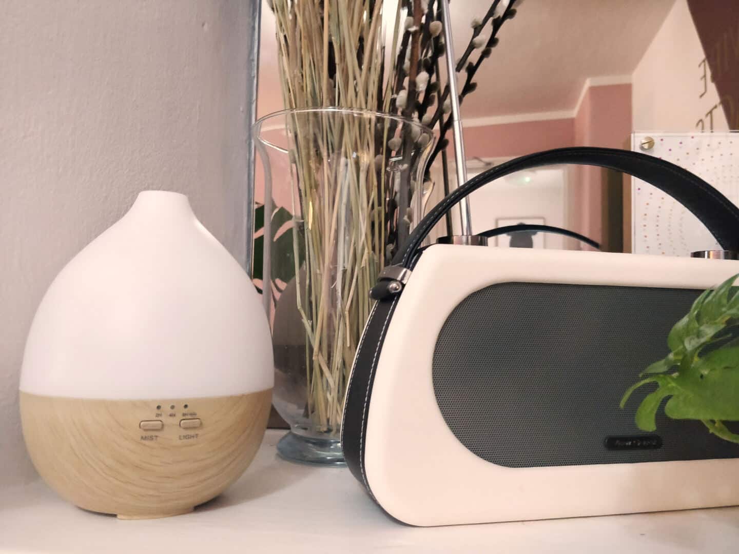 Smellacloud aroma diffuser on a shelf next to a radio and some pampas grass