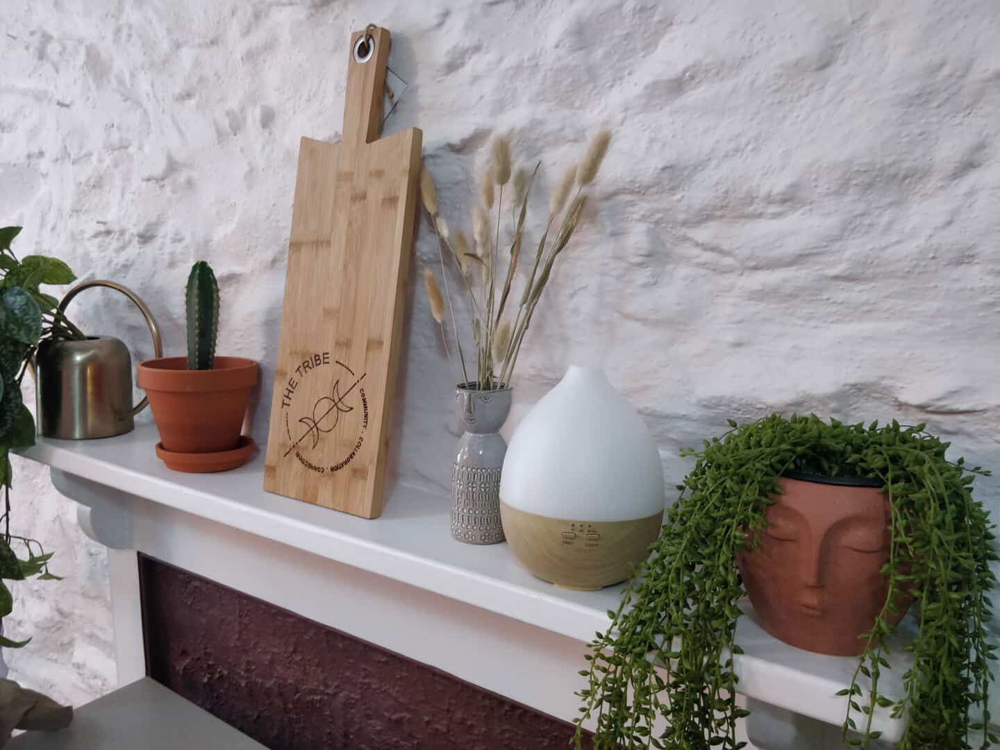 A mantle full of plants and vases