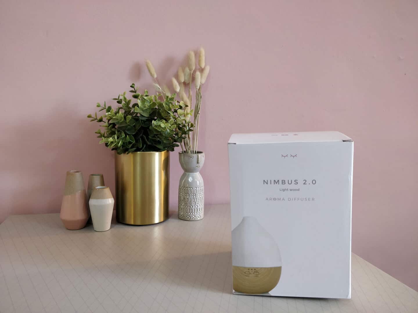 Smellacloud aroma diffuser in a box on a table with plants and vases