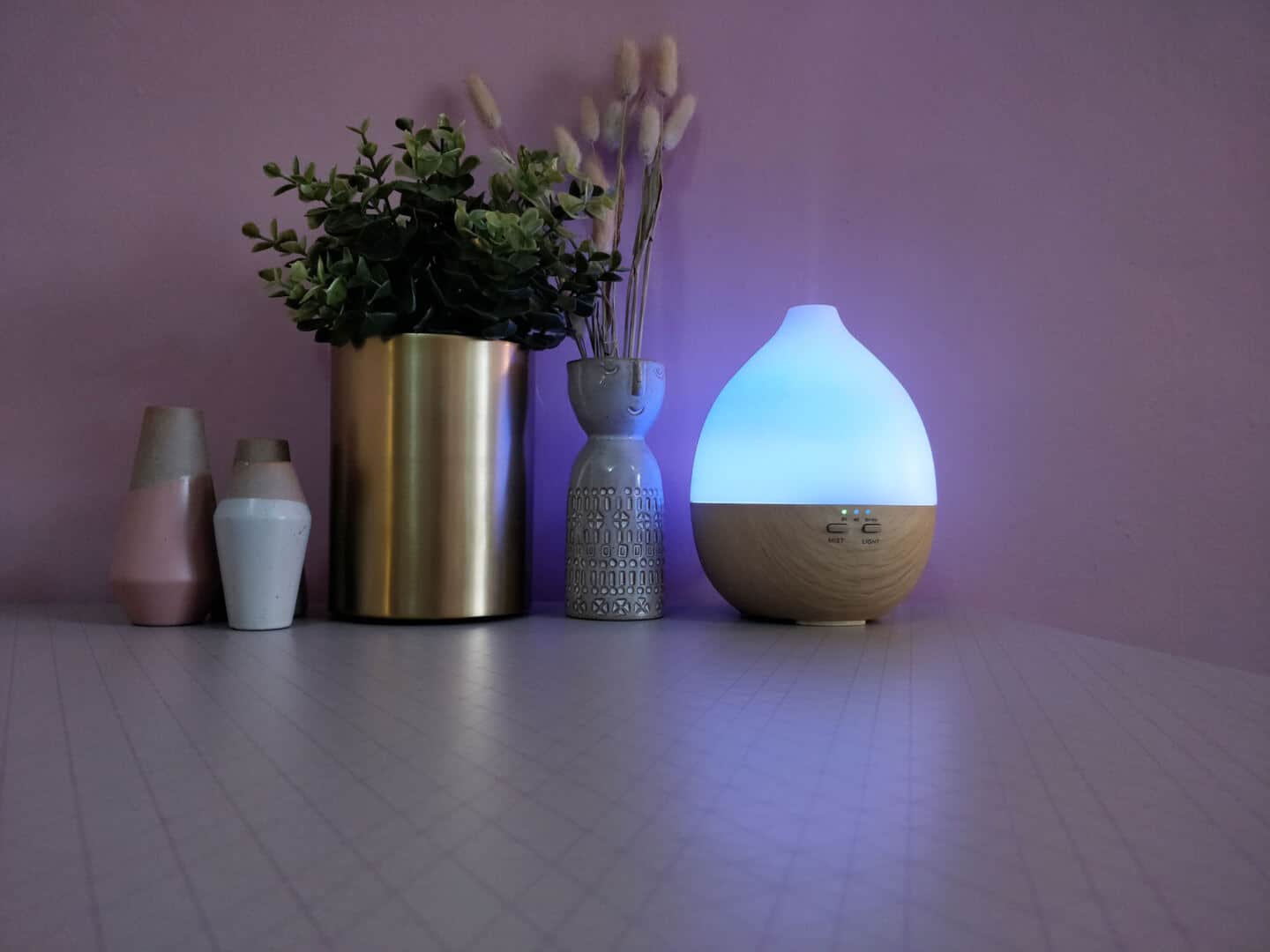 Plants and vases on a table