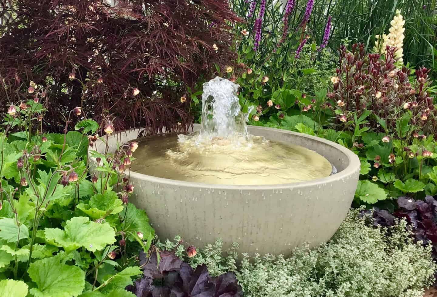 A water feature in a garden