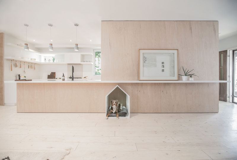 Dog house in a kitchen. How to solve this and other design dilemmas?