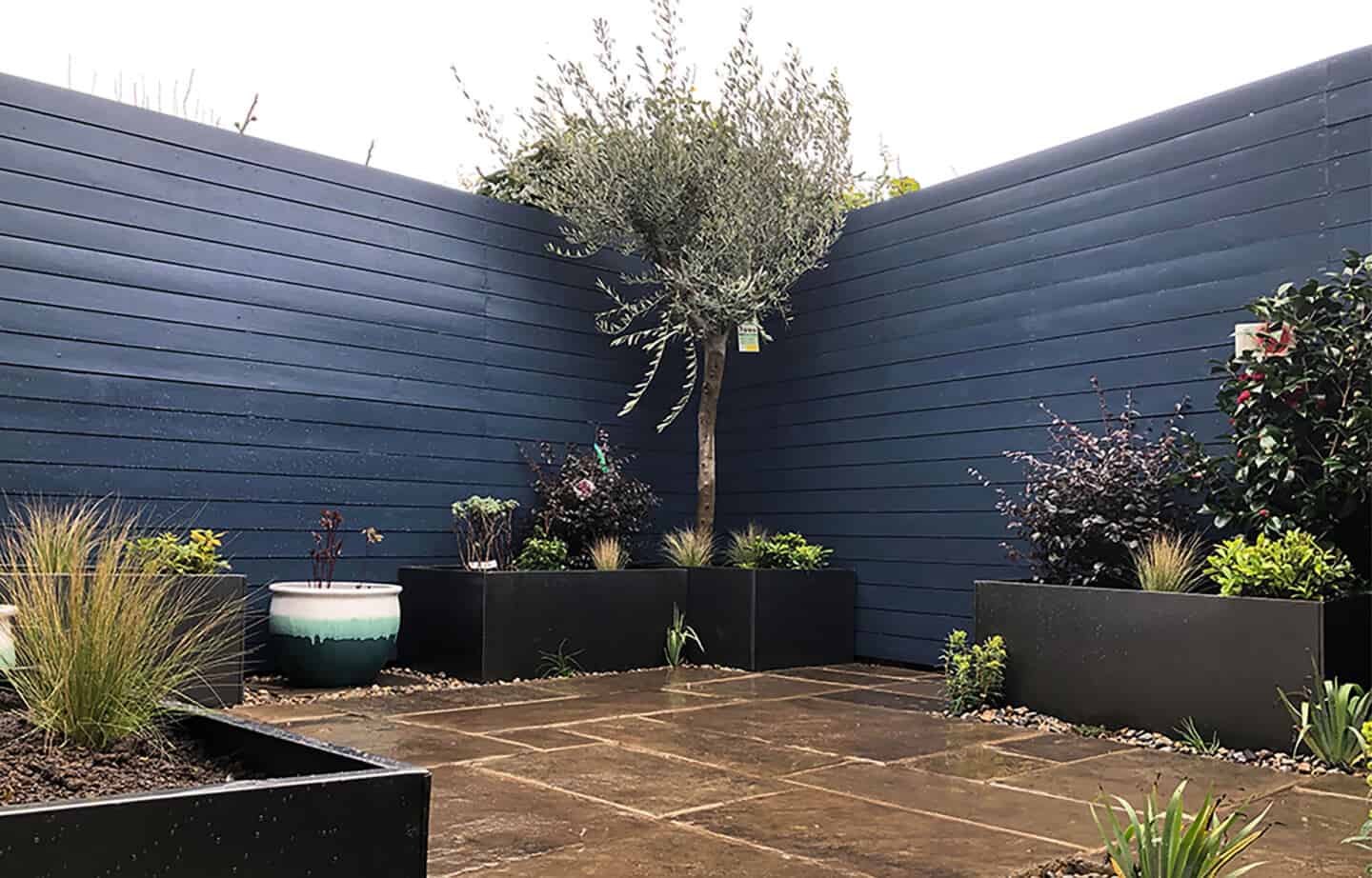 A patio garden with painted blue fences