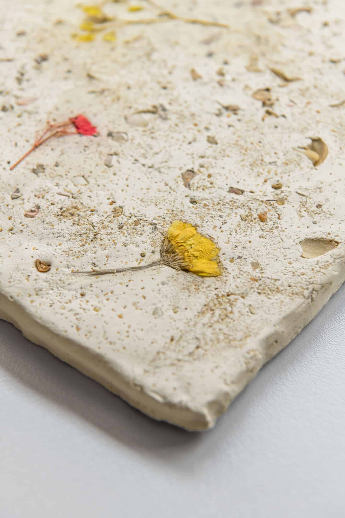 A close up of a slab of concrete with wild flowers embedded in it.