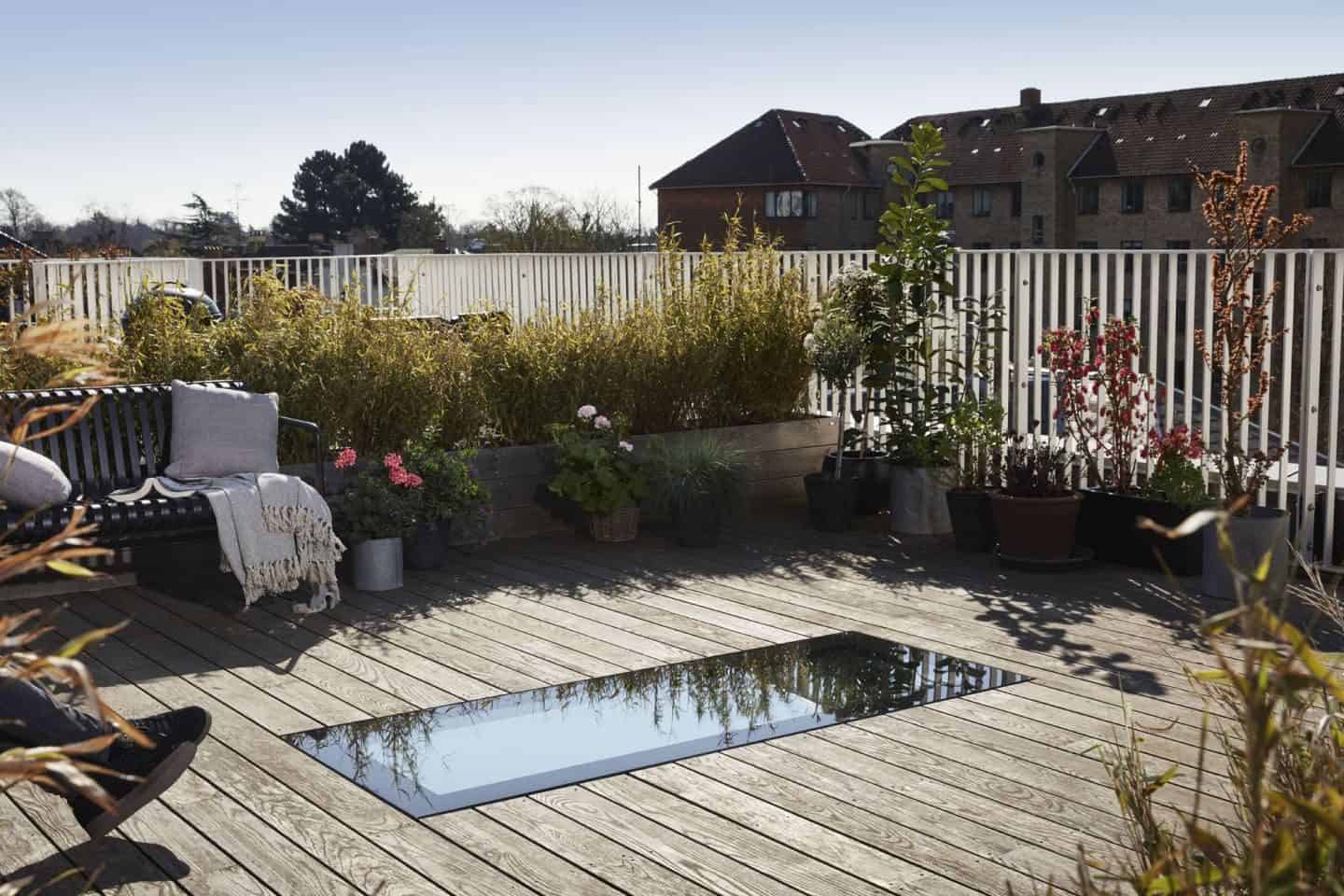 A garden on a flat roof that contains a roof window