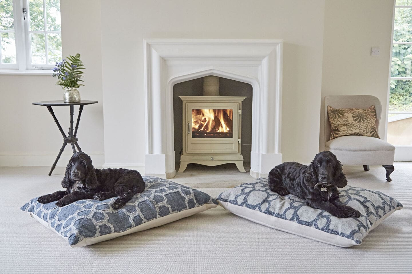 Two pet black spaniels sitting on dog beds in a very clean house