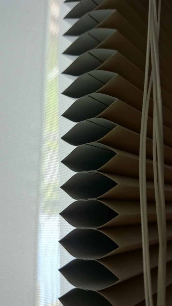 Web Blinds Eco Pleat Blind