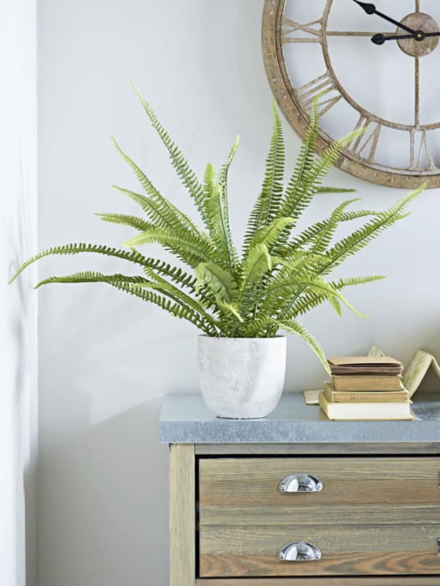 Create a cosy winter home with this faux potted Boston fern from Cox & Cox